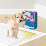 Wee Wee Pads Insta-Rise Border X10 Unidades - Imagen 2