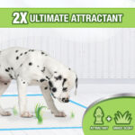 Wee Wee Pads With Grass Scent X10 Unidades - Imagen 2