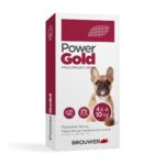 Power Gold 250mg (4.6 a 10kg) 1 Tableta