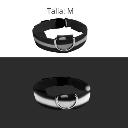 Collar LED Blanco - Medium