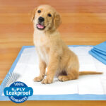 Pee Pee Pads For Puppies & Adult Dogs X14 Unidades - Imagen 2