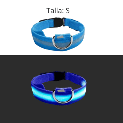 Collar LED Celeste - Small