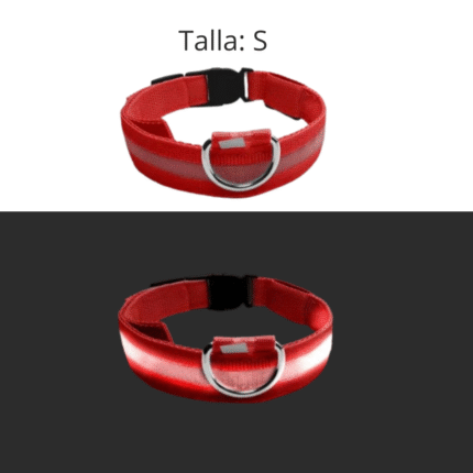 Collar LED Rojo - Small