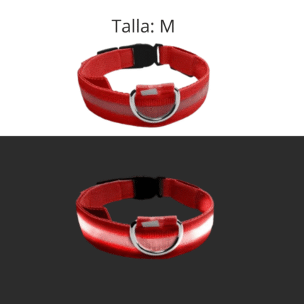 Collar LED Rojo - Medium